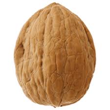 first walnut